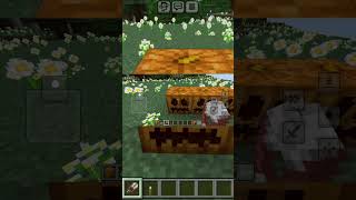 how to make JACK OLANTERN in minecraft smbgamer shortsfeed minecraftshorts [upl. by Siver]