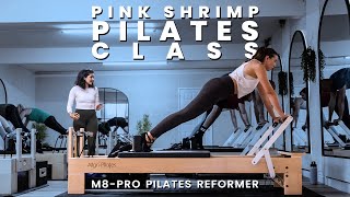 AlignPilates Reformer Class Experience  Pink Shrimp Pilates Studio [upl. by Nodearb726]