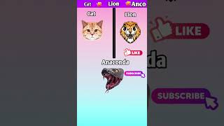 Cat Vs Lion Vs Anaconda shoets [upl. by Delanty]