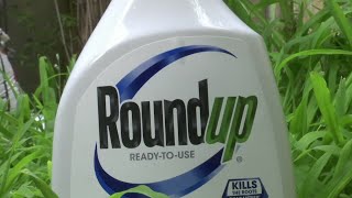 Jury to decide if weed killer caused mans cancer [upl. by Rambort505]