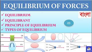 EQUILIBRIUM OF FORCES in Bengali  Engineering Mechanics  09 [upl. by Massingill149]