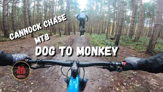 Cannock Chase Mtb Follow the Dog to the Monkey [upl. by Eirrab]