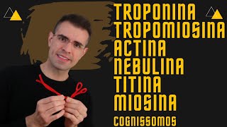 🙋‍♂️✊Actina Miosina Tropomiosina Troponina Titina [upl. by Aribold]