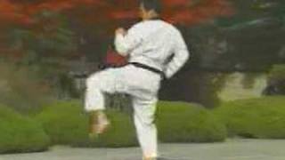 Taekwondo Kukiwon  Taeguk Yook Jang [upl. by Niraj]