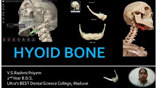 Hyoid Bone  Osteology  Location  Parts  Muscles amp Structures Attached  Development Ossification [upl. by Ednalrym27]