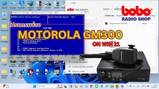 โปรแกรมช่อง MOTOROLA GM300 Programming ON WIN11 [upl. by Nellir]