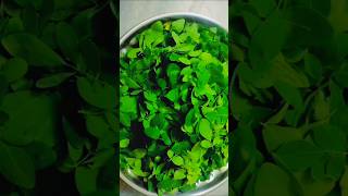 Munagaku Health Benefits  Moringa Leaves Health Benefits viral trending youtubeshorts shorts [upl. by Assiruam]