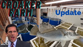 Croaker Farm Update [upl. by Lisan]