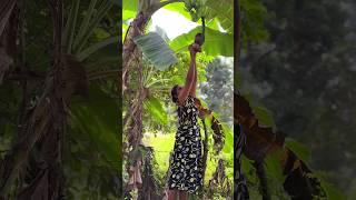 Banana blossom Recipe  මෙහෙම හැදුවොත් හැමදාම කනවා 😋😋😋 [upl. by Auqined963]