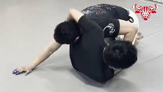 nogi bjj sparring [upl. by Eerol590]