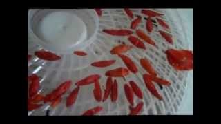 How To Make Crushed Dried Red Tobasco Peppers  Cajun Style [upl. by Isaiah]