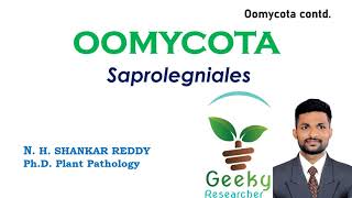 Lec 19 Oomycota Saprolegniales  Mycology  Plant Pathology  BScMSc Agriculture [upl. by Hansel]