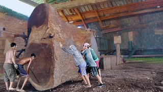 The wood of the gods is worth hundreds of millions ❗ Old Sawmill woodworking [upl. by Ilowell]