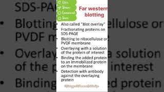 Far western blotting  techniques western blottingbpl shorts [upl. by Annej750]