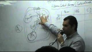 DrAhmed Abd ElRahman  Hormones 4  TopicCorticosteroids  Part 2 [upl. by Theodosia]