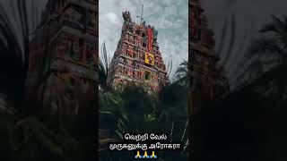 Uppu kaathu ootha kaatthu murugan song whatsapp download [upl. by Wolff832]