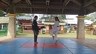 Jediah Riz Eliseo Philippines Peewee Brown Belt Speed Kicking [upl. by Rowe986]