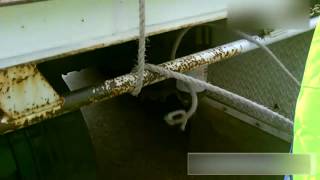 How to Tie Rope Knots Truckies Hitch and Truckies Shank [upl. by Ain]