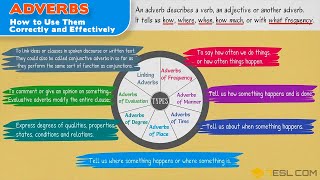 Adverbs  Different Types of Adverbs with Useful Examples  English Grammar [upl. by Nosak]