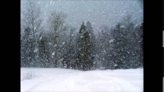 Chasse Neige  Franz Liszt  Orchestral [upl. by Elimaj]