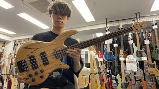 Overwater Basses  Progress Standard 4 Spalted Beech  Natural Satin 【Test Play】 [upl. by Niall]