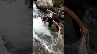 Net Fishing in Crowded Stream  Unexpected No Catch in Fast Water Adventure fishing ytshorts [upl. by Ahto549]