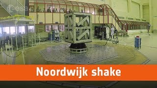 Noordwijk shake [upl. by Airpal679]