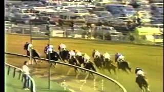 110th Preakness Stakes  May 18 1985 [upl. by Hyacinthie296]