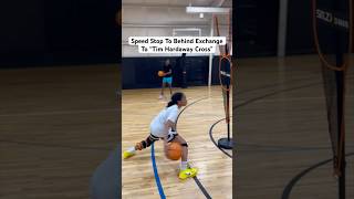 Speed Stop To Behind The Back Exchange To “Tim Hardaway Crossover” basketball hooping hoops [upl. by Eudo684]