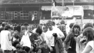 Raymond van het Groenewoud  Kamiel  Daddeemelee Live Pinkpop 1980 [upl. by Tatiania]