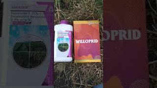 Adama Barazide and Willowood Willoprid insecticide।। Moong Spreyshortvideo [upl. by Siraf]