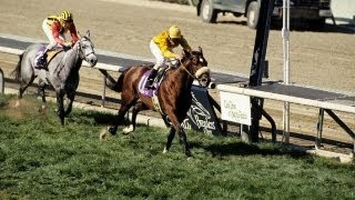 1993 Breeders Cup Mile  Lure  Post Race [upl. by Abdulla]