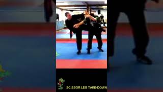 MANTIS SAN SHOU SCISSOR LEG TAKE DOWN kungfuskills kungfu kung [upl. by Sidnala]