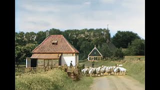 Texel De Parel Der Waddenzee in 1943 in kleur The beautiful Dutch island of Texel in 1943 in color [upl. by Aniral]