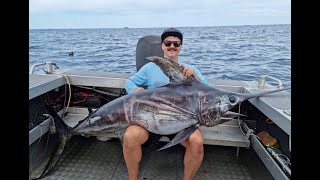 broadbill swordfish caught in New Zealand on Aucklands west coast [upl. by Naujat]