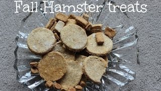 DIY Pumpkin Hamster treats [upl. by Tiram84]