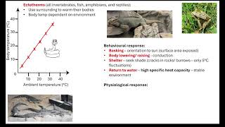 Temperature control in endotherms and ectotherms 511 Communication and homeostasis [upl. by Ofloda]