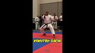 🥋Kokutsudachi  Back Stance Explained shorts [upl. by Raimondo577]