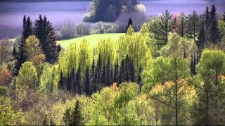 Arboretum Mustila Elimäki Finland [upl. by Ecinrev]