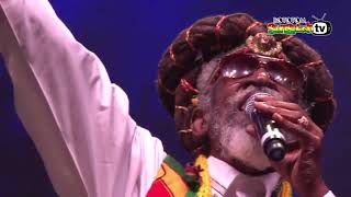 BUNNY WAILER sings RASTA MAN CHANT amp RASTAMAN live  Main Stage 2015 [upl. by Milano966]