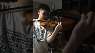 Josef LT 800 advance 14 violin sound sample [upl. by Naid609]