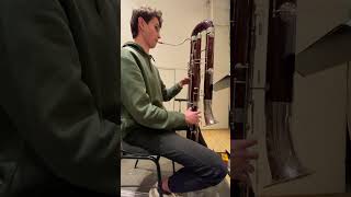 contrabassoon solo in a symphony orchestra [upl. by Kumar]