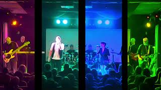 BIKO Peter Gabriel Tribute Band  Downside Up Live 2024 [upl. by Ayerim]