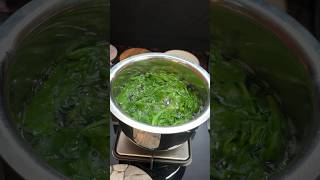 Palak Paneer Recipe 😋😋 shorts palak palakpaneer palakpaneerrecipe sabji paneerkisabji spinach [upl. by Georgena322]