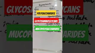 Polysaccharides glycosaminoglycans mucopolysaccharides polysaccharides carbohydratesbiochemistry [upl. by Akili508]