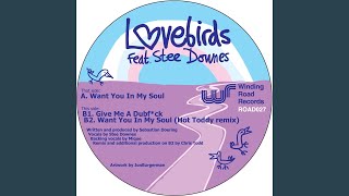 Want You In My Soul feat Stee Downes Hot Toddy Remix [upl. by Clemens]