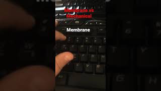 ASMR Membrane CD Mechanical Keyboard [upl. by Ttevy]