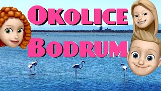 Okolice Bodrum Gumusluk  Nieruchomości w Turcji Orient Explorer [upl. by Bremble]