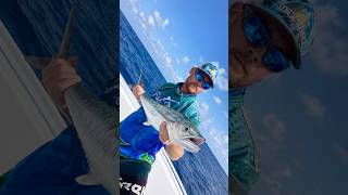 King Fish season 2024 fishhuge fishhugecharters [upl. by Atsira]