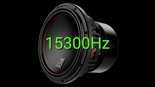 Tone frequency 15300Hz Test your hearing speakersheadphonessubwoofer [upl. by Eirellam]